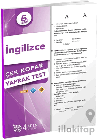 6. Sınıf İngilizce Çek Kopar Yaprak Test