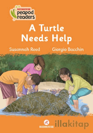 A Turtle Needs Help