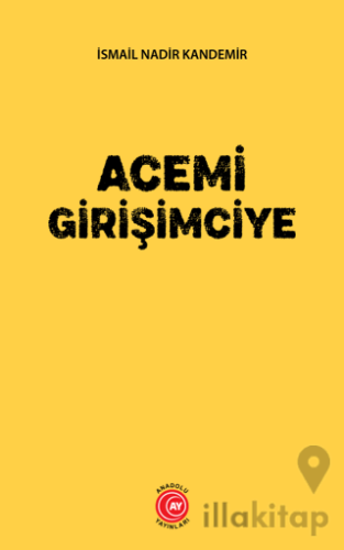 Acemi Girişimciye