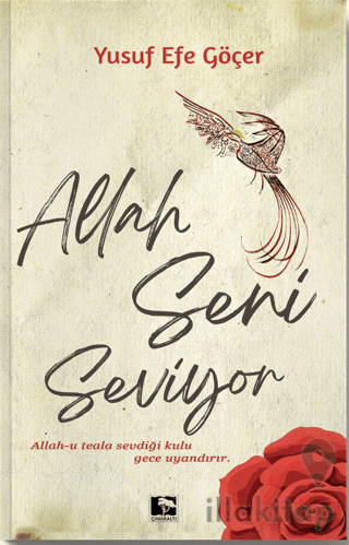 Allah Seni Seviyor