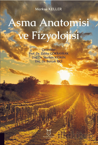 Asma Anatomisi ve Fizyolojisi