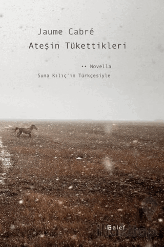 Ateşin Tükettikleri