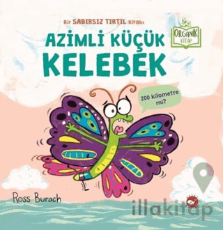 Azimli Küçük Kelebek