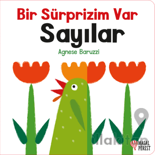 Bir Sürprizim Var - Sayılar