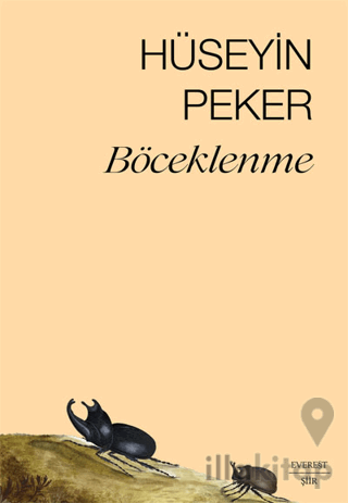 Böceklenme