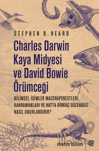 Charles Darwin Kaya Midyesi ve David Bowie Örümceği