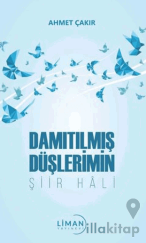 Damıtılmış Şiirlerimin Şiir Hali