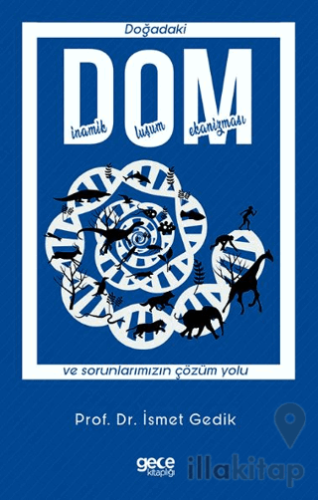 DOM - Doğadaki Dinamik Oluşum Mekanizması ve Sorunlarımızın Çözüm Yolu