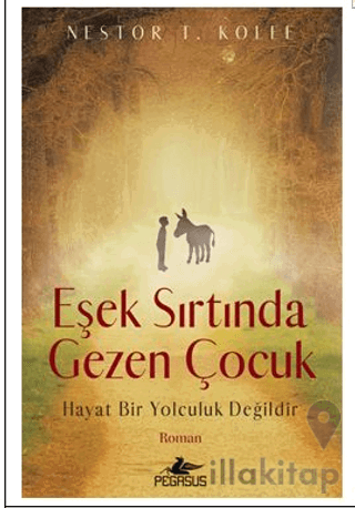 Eşek Sırtında Gezen Çocuk