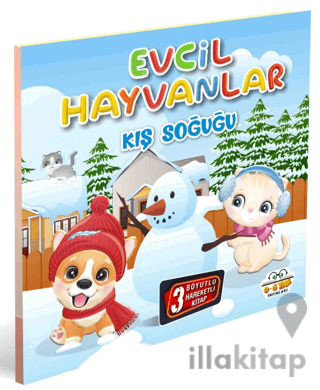 Evcil Hayvanlar Kış Soğuğu