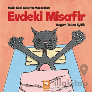 Evdeki Misafir - Minik Kedi Şeker'in Maceraları