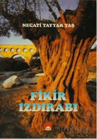 Fikir Izdırabı