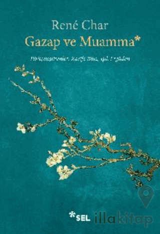 Gazap ve Muamma