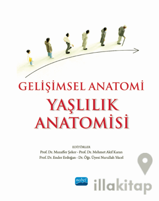 Gelişimsel Anatomi - Yaşlılık Anatomisi