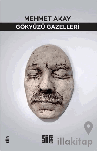 Gökyüzü Gazelleri