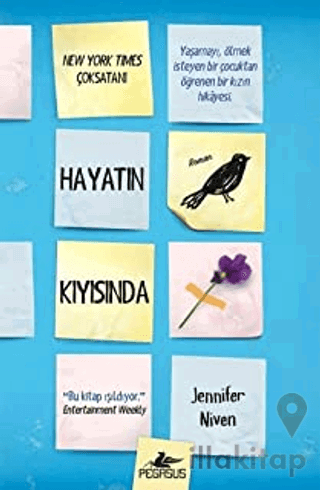 Hayatın Kıyısında