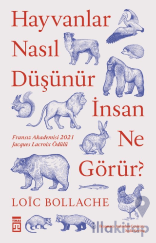 Hayvanlar Nasıl Düşünür İnsan Ne Görür?