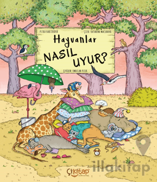 Hayvanlar Nasıl Uyur?