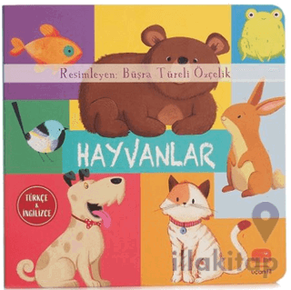 Hayvanlar