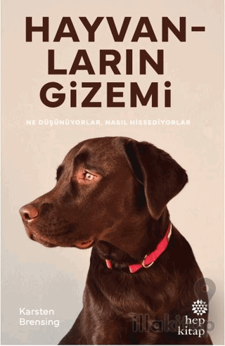 Hayvanların Gizemi