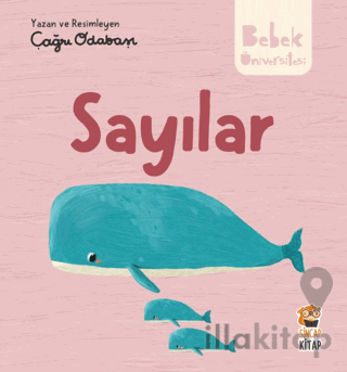 Hikayeli İlk Kavramlarım - Sayılar