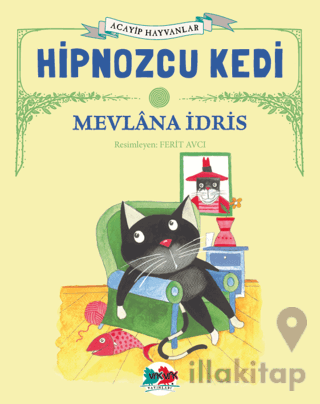 Hipnozcu Kedi