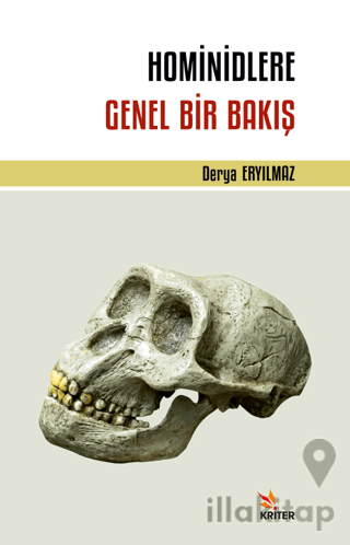 Hominidlere Genel Bir Bakış