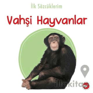 İlk Sözcüklerim -Vahşi Hayvanlar