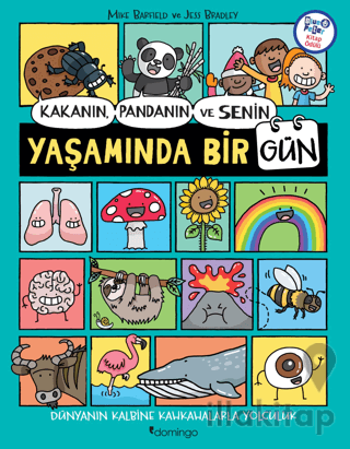 Kakanın, Pandanın ve Senin Yaşamında Bir Gün