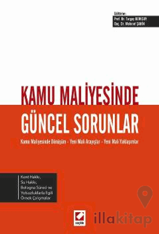 Kamu Maliyesinde Güncel Sorunlar