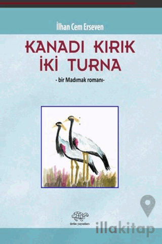 Kanadı Kırık İki Turna