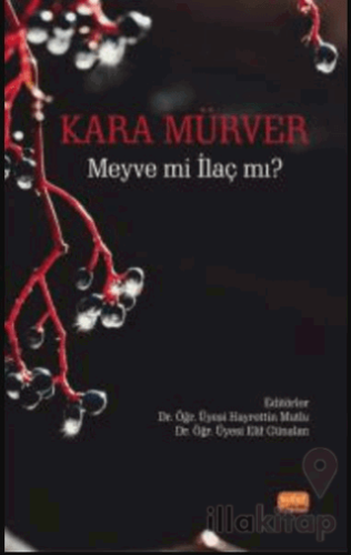 Kara Mürver: Meyve mi İlaç mı?