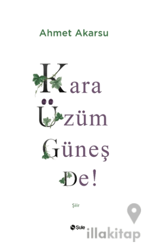 Kara Üzüm Güneş De