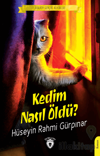 Kedim Nasıl Öldü?