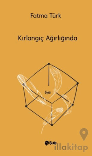 Kırlangıç Ağırlığında