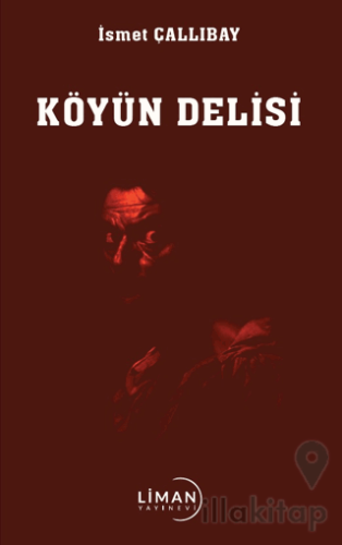 Köyün Delisi