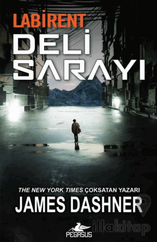 Labirent: Deli Sarayı