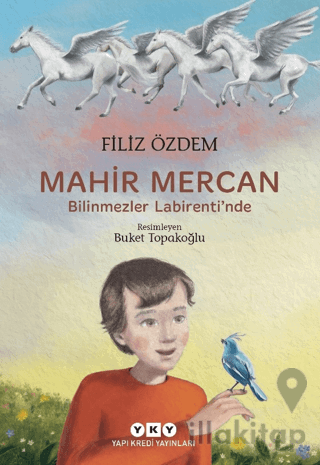 Mahir Mercan - Bilinmezler Labirenti'nde