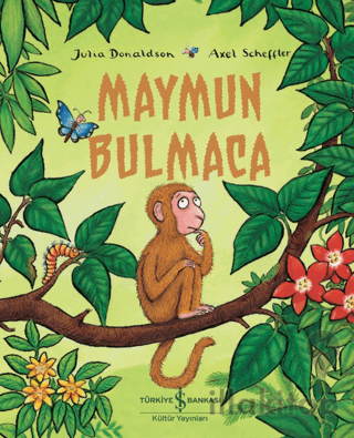 Maymun Bulmaca