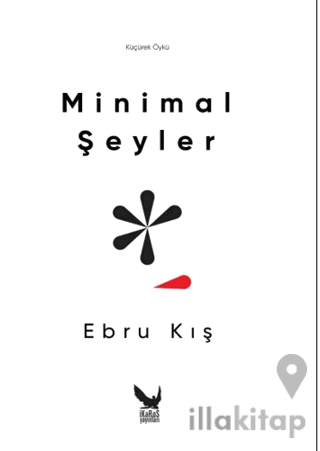 Minimal Şeyler