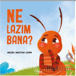 Ne Lazım Bana