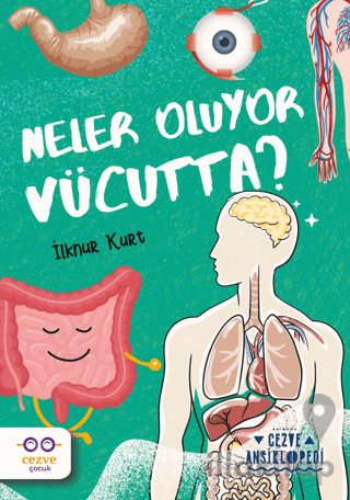 Neler Oluyor Vücutta? – Cezve Ansiklopedi