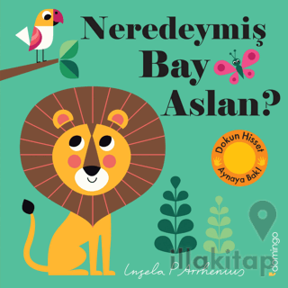 Neredeymiş Bay Aslan?