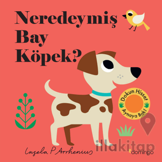 Neredeymiş Bay Köpek?