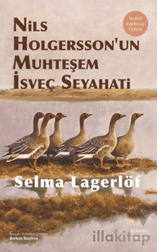 Nils Holgersson’un Muhteşem İsveç Seyahati