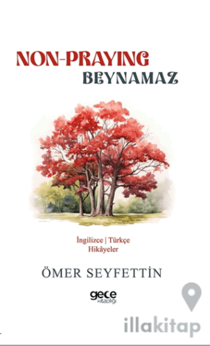 Non-Praying - Beynamaz