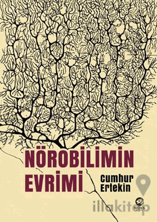 Nörobilimin Evrimi