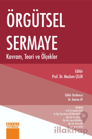 Örgütsel Sermaye Kavram, Teori ve Ölçekler