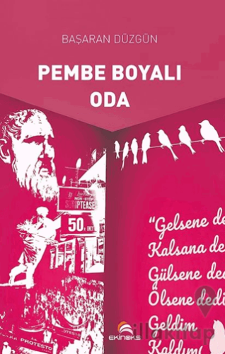 Pembe Boyalı Oda