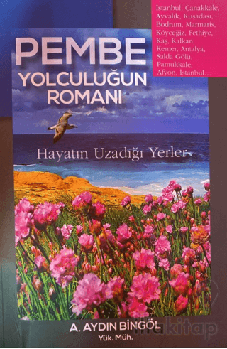 Pembe Yolculuğun Romanı